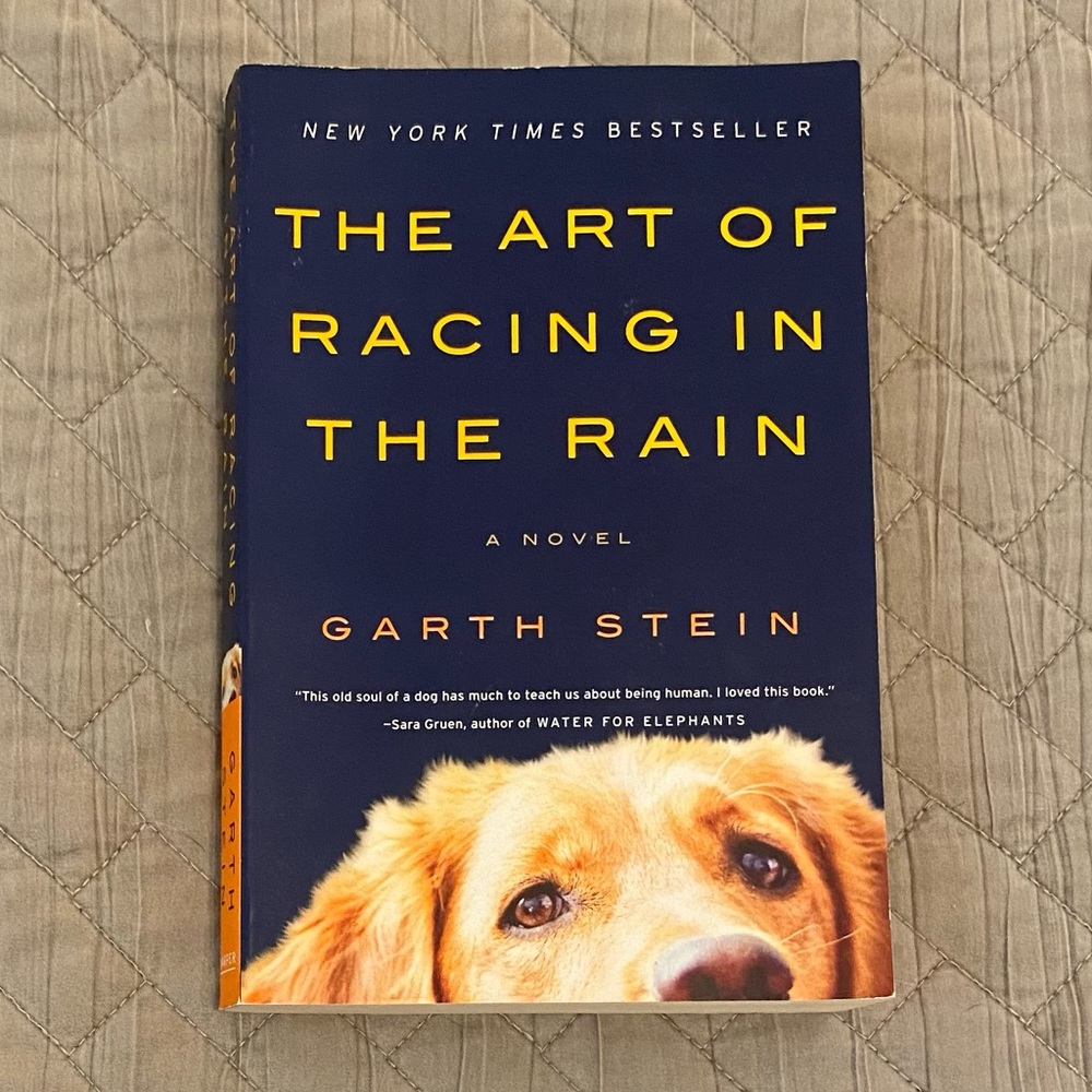 The Art of Racing in the Rain by Garth Stein